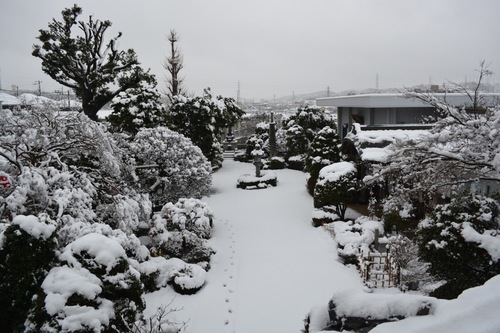 snow20160118.jpg